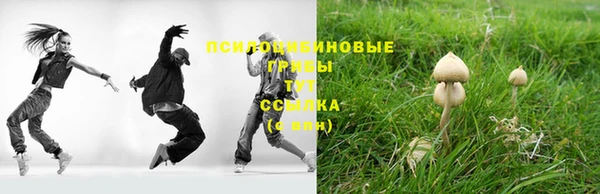 соль ск Приозерск