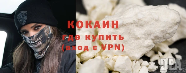 мет Протвино