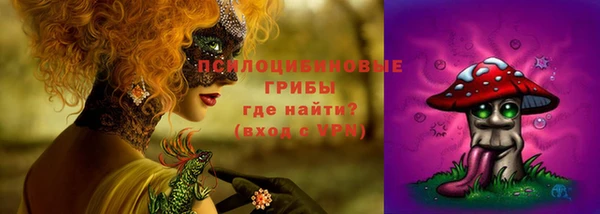 соль ск Приозерск
