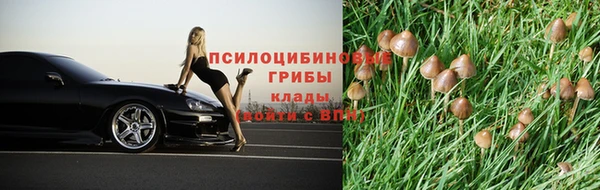 соль ск Приозерск