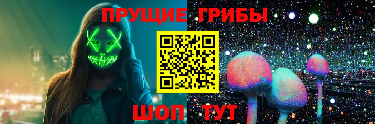 Сухой Лог  Галлюциногенные грибы Psilocybine cubensis  Вход с VPN 