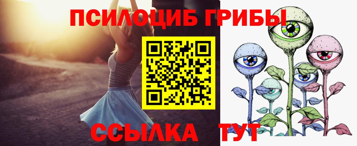 Псилоцибиновые грибы GOLDEN TEACHER Сухой Лог